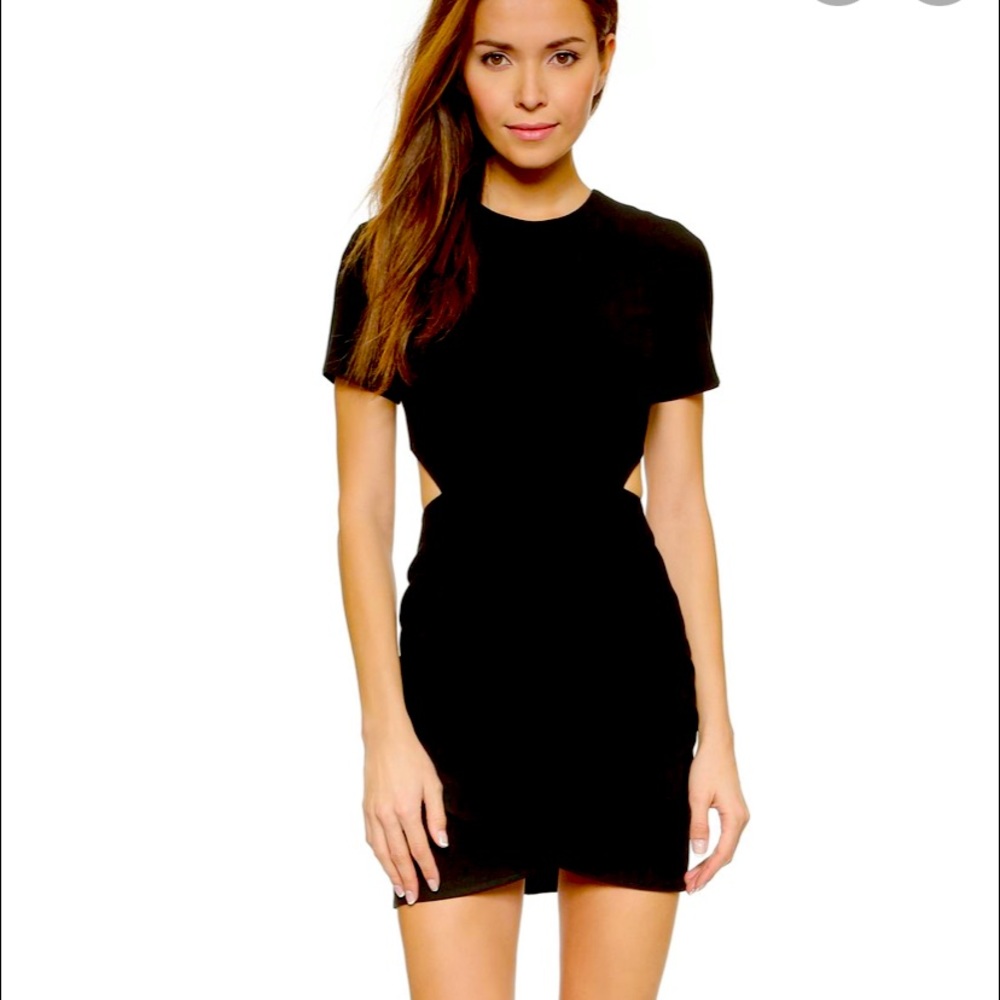 Size 10 NWT Elizabeth and James Skylyn dress